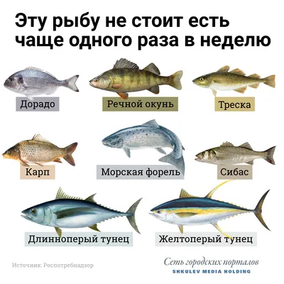 Рыба свежемороженая/охлажденная в ассортименте: красная, белая, морская,  речная, озерная. - Енисейский стандарт