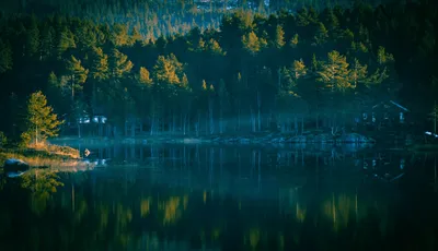 Заброшенное озеро в лесу - 73 фото