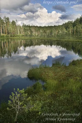 Нашли «тайное» лесное озеро возле Уручья