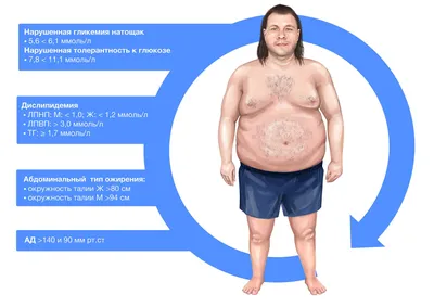 Ожирение Сердце Иллюстрация — стоковая векторная графика и другие  изображения на тему Большой - Большой, Сердечный приступ, Анатомическая  модель - iStock