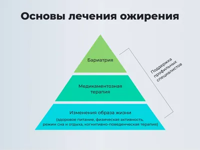 Ожирение Сердца Сравнение Кардиология — стоковая векторная графика и другие  изображения на тему Сердце - Сердце, Жировая ткань, Кровь - iStock