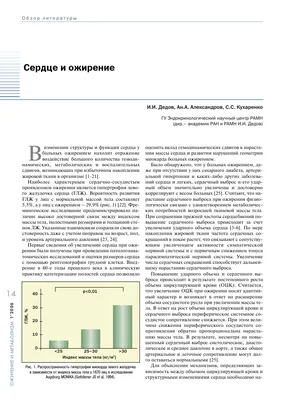 Ожирение и сердечно-сосудистые заболевания: факторы риска и «парадокс  ожирения» | FPA