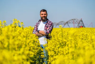 Озимый рапс БЛЕКСТОУН ИМИ. (Семена озимого рапса БЛЕКСТОУН ИМИ). [Рапс  озимый БЛЕКСТОУН ИМИ]: продажа, цена в Днепре. Масличные культуры от \"ООО  АВС Стандарт\" - 1634511378