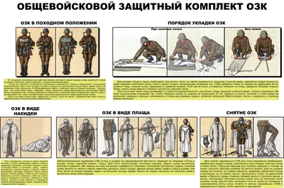 Плащ ОЗК дождевик с капюшоном армейский защитный ЗАЩИТА И ОБОРОНА 33217243  купить за 812 ₽ в интернет-магазине Wildberries