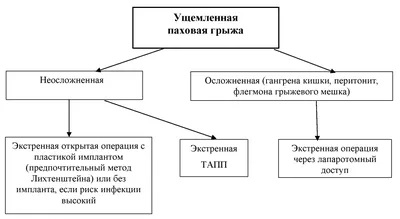 Косая паховая грыжа - причины, симптомы, лечение, операция. - Хирург К. В.  Пучков