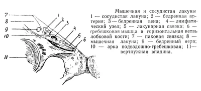 Презентация PowerPoint