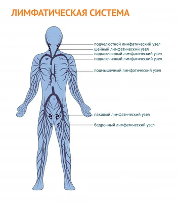 Псориаз - что это, симптомы, лечение и профилактика - FitoBlog