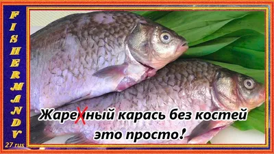 Больше не работает: Рыбная палатка, рыба и морепродукты, Саратов, Тульская  улица, 41 — Яндекс Карты