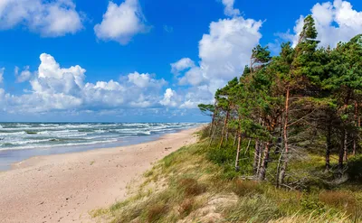 Балтийское море, сосны и велосипеды: едем в литовскую Палангу - Блог  OneTwoTrip