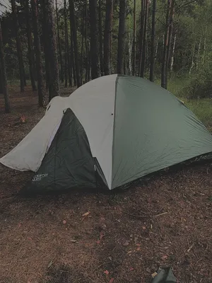 Палатка в лесу. | Палатка, Лес, В лес