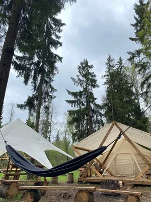 Глэмпинг Палатка в лесу в Подмосковье | Трипинглэмп