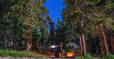 Как правильно установить палатку в лесу?