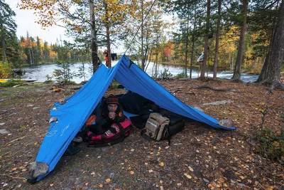Как пойти с ребенком в лес с палатками: инструкция для начинающих туристов