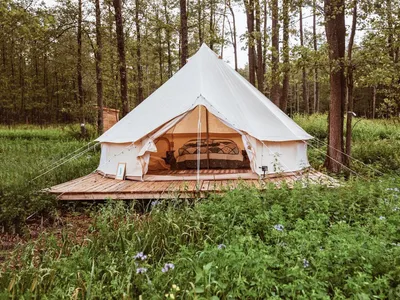 Как ночевать в лесу без палатки?