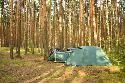 Палатки в лесу эстетика - 66 фото