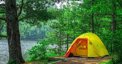 Палатка В Лесу — стоковые фотографии и другие картинки Без людей - Без  людей, Белый, Гора - iStock
