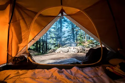 советская палатка в лесу стоковое изображение. изображение насчитывающей  северно - 220531999