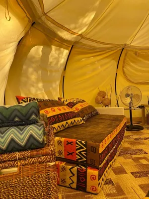 Палатка в лесу палаточный отдых Stock Photo | Adobe Stock