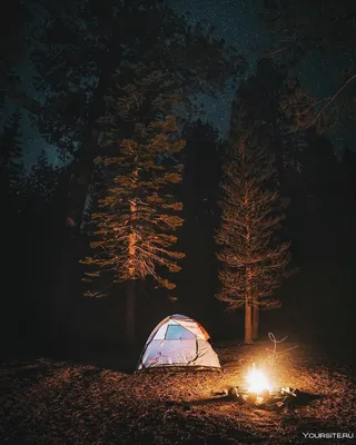 Палатка в лесу ночью, реалистично, 4…» — создано в Шедевруме