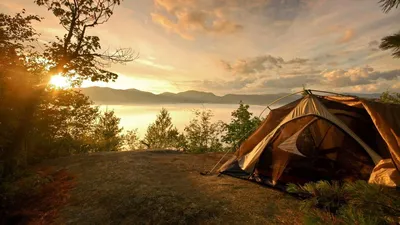 Вертикальный Снимок Палатки Лесу Ночью Звездным Небом стоковое фото  ©Wirestock 506896746