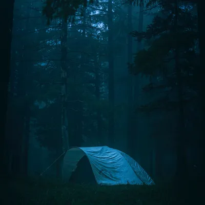 Палатка в лесу в летний день :: Стоковая фотография :: Pixel-Shot Studio