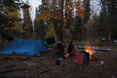 Палатка в ночном лесу - 62 фото