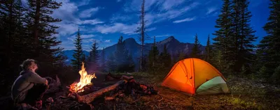 палатка в лесу в сумерках, палатка, экорегион, завод фон картинки и Фото  для бесплатной загрузки
