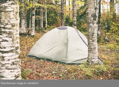 Скачать 3415x3415 палатка, лес, туман, кемпинг, природа обои, картинки ipad  pro 12.9\" retina for parallax