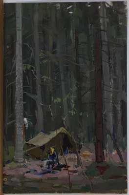 Палатка в лесу - 74 фото