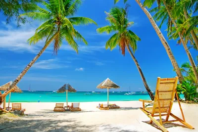Обои песок, пальмы, пляж, море, отдых, зонтики на рабочий стол