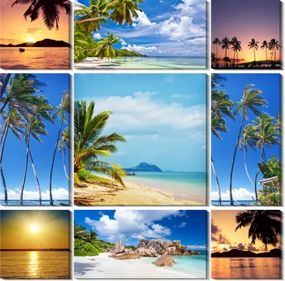 Фотообои на стену «Пальмы пляж море» Komar 8-885 Praslin
