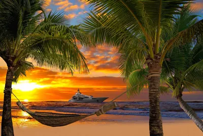 Картинки пальмы море океан (69 фото) » Картинки и статусы про окружающий  мир вокруг