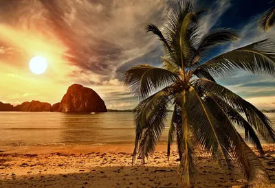 Обои пальмы, пляж, пейзаж, остров, море, облака, небо на рабочий стол