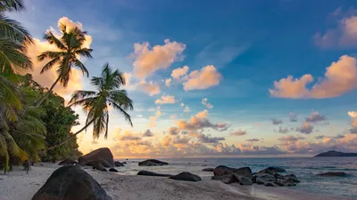 Красивый тропический пляж, пальмы, море - рай Стоковое Изображение -  изображение насчитывающей путешествие, солнце: 95629923