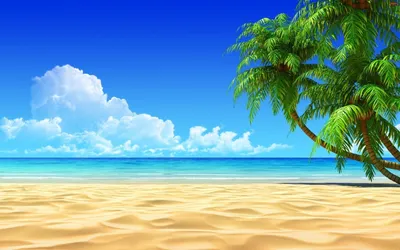 Скачать обои небо, пляж, пальмы, море.берег, the sky разрешение 1920x1080  #81886