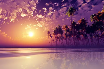 Море пальмы закат» — создано в Шедевруме
