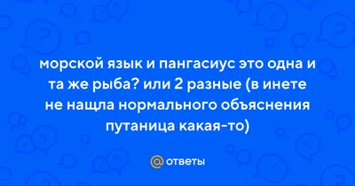 Палтус синекорый (черный), J-cut, тушка, 3-5 кг - Крым-Рыба купить оптом со  склада в Крыму - оптовые цены