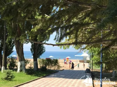 Пляжи озера Иссык-Куль • 2018, Иссык-Куль, Июль, Кыргызстан, Чолпон-Ата •  Виталий С.