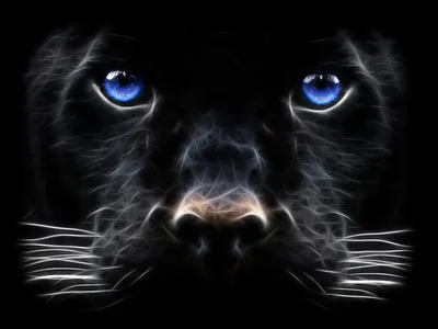 Черная пантера с голубыми глазами, …» — создано в Шедевруме