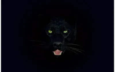 Большая чёрная пантера с чуть прикрытыми глазами - обои на телефон