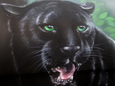 Животные искусство черный леопард пантера картины на холсте Современные  плакаты и принты настенные картины для гостиной украшение для дома |  AliExpress