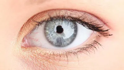 Блефарит: причины, симптомы и лечение воспаление глаз в ФНКЦ ФМБА