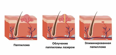 KISA кабинет красоты, косметология