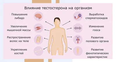 🥇 Удаление папиллом, бородавок и кондилом лазером по выгодной цене в  Алматы | MLC