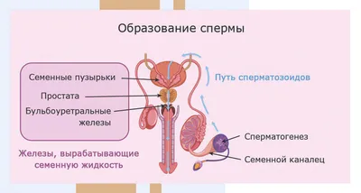 Удаление папиллом и образований уха, горла, носа в Саратове 👍 Недорого