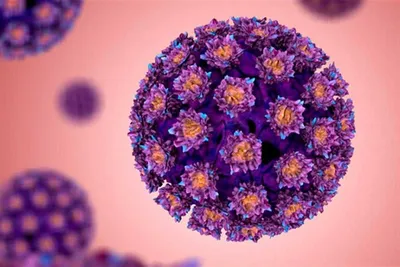Вирус папилломы человека может спровоцировать рак – профилактика и защита  от инфекции