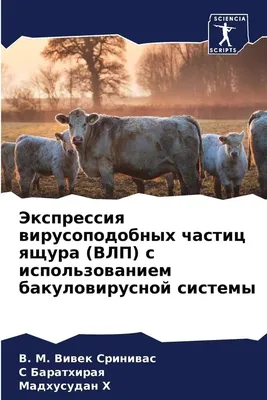 Шишка на шее у коровы, на ощупь плотная. Фото. | Fermer.Ru - Фермер.Ру -  Главный фермерский портал - все о бизнесе в сельском хозяйстве. Форум  фермеров.