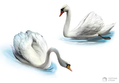 Картина «Пара лебедей» ✓ — купить картина «пара лебедей» в мастерской  янтаря Baltamber.com