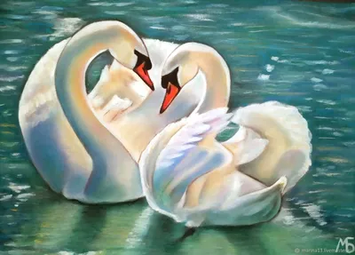 Пара лебедей - Фотообои на заказ в интернет магазин arte.ru. Заказать обои Пара  лебедей Арт - (16310)