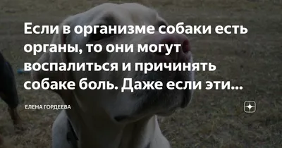 Парапроктит у ребенка: симптомы, отзыв о лечении, сколько оно стоит